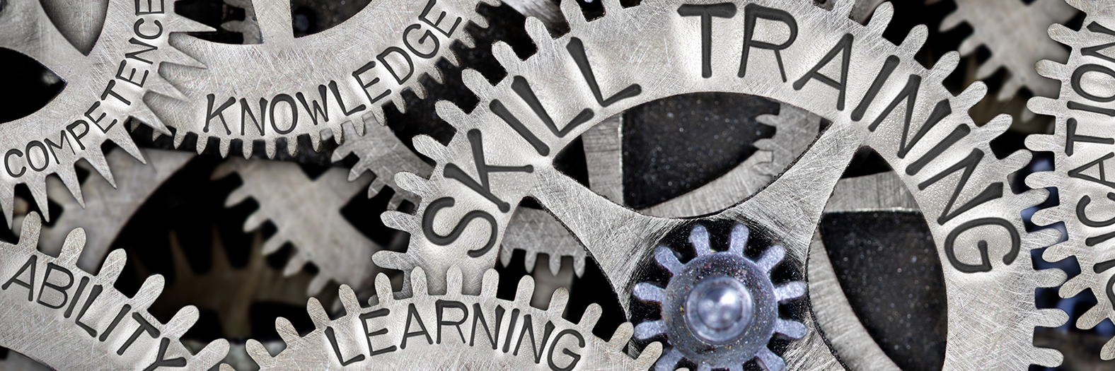 cogs that say impactful words